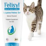 cat vitamins supplements
