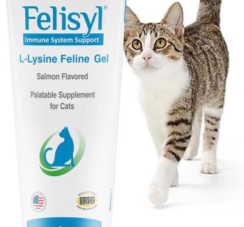 cat vitamins supplements
