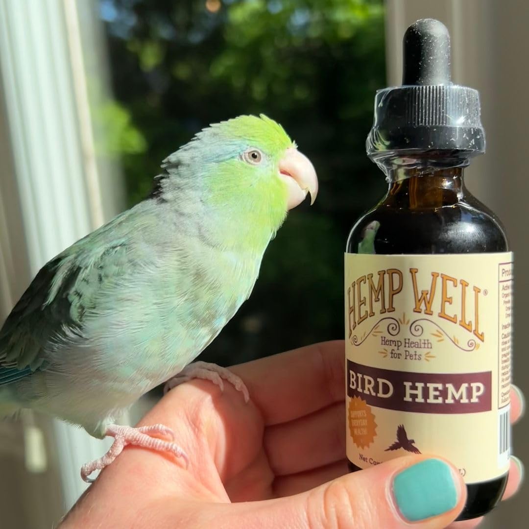 Organic Hemp Well Bird Hemp Oil – 2 Ounces. Parrot, Parakeet, Cockatiel and All Birds for Supporting Health, Feather Plucking, Destructive Behavior Reduction, Immune Support, and Relaxation. - Happypetzone.online - Image 6