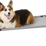 premium dog beds amazon