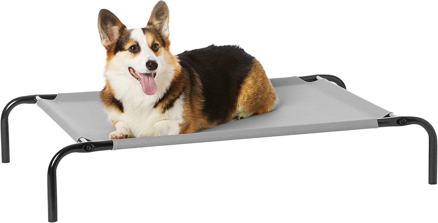 premium dog beds amazon