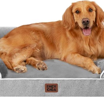 orthopedic dog bed