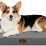 dog bed waterproof