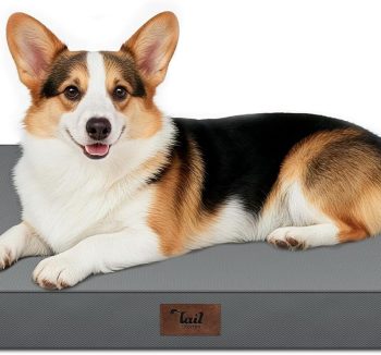 dog bed waterproof