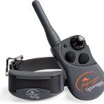 dog training collar