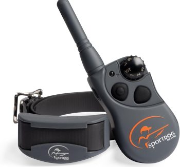 dog training collar