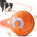 dog puzzle toys