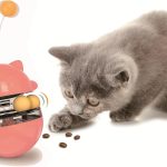 cat food for senior cats