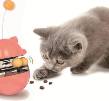 cat food for senior cats
