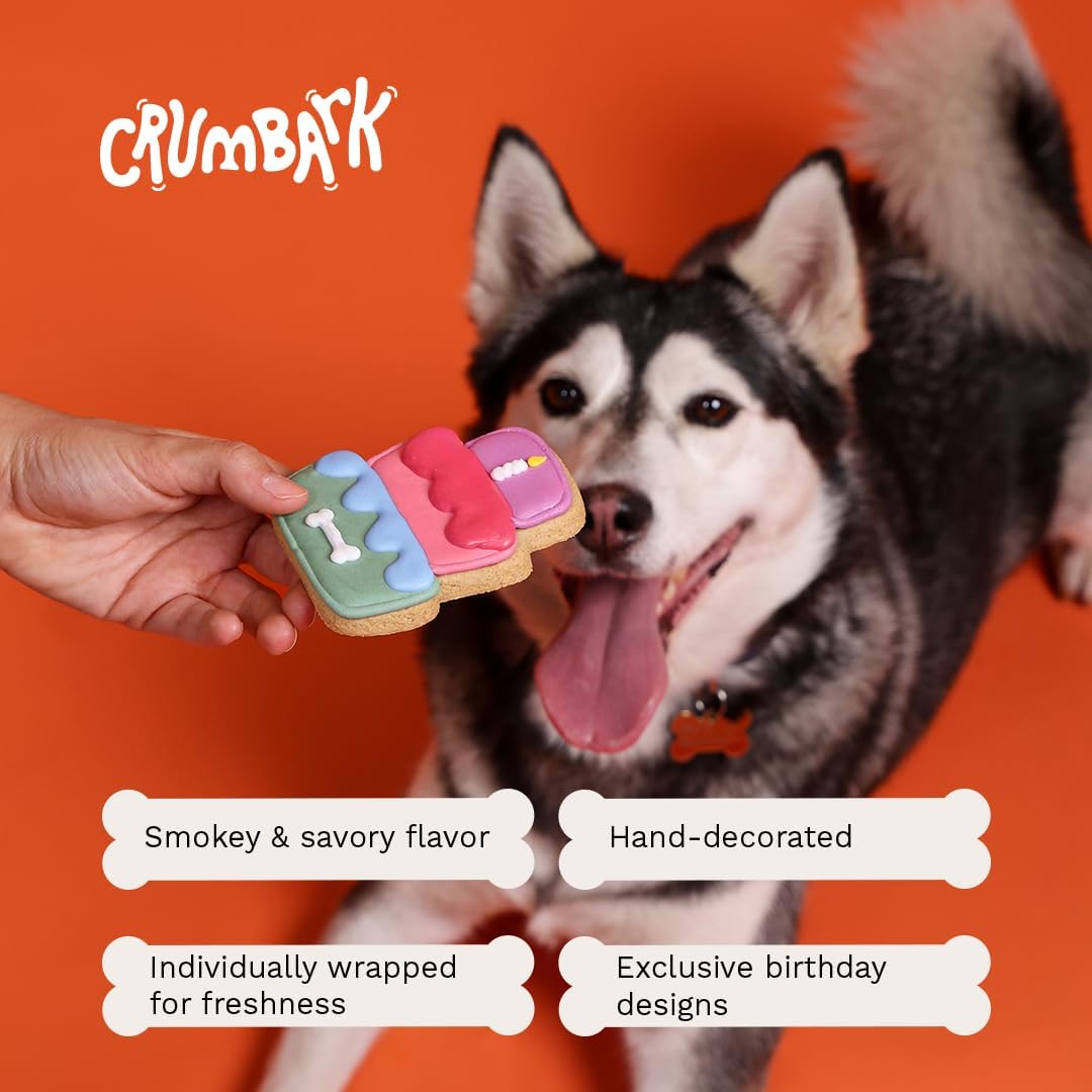 Dog Birthday Treats | Hand-Decorated Treats – 3 Pack in Gift Box | Extra Large Treat 62g Cookie, Vegan Dog Birthday Cake - Happypetzone.online - Image 6
