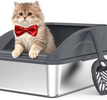 cat litter box large
