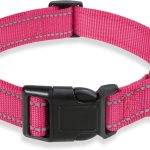 dog collar nylon strong