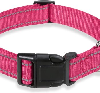 dog collar nylon strong