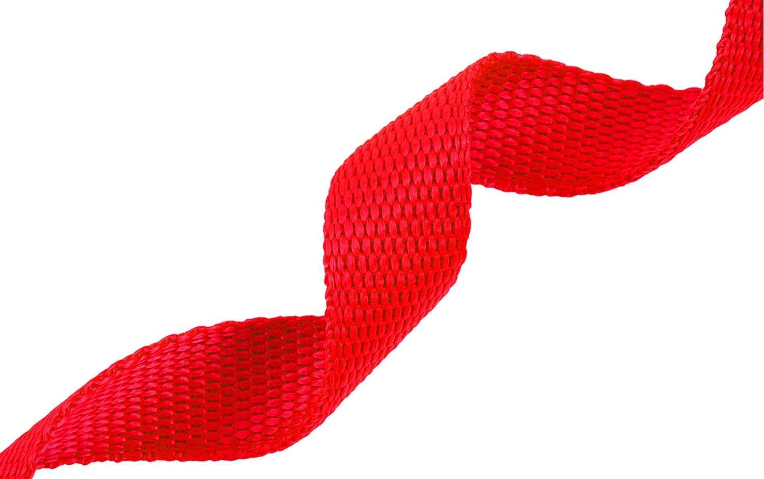 AMAGOOD Dog/Puppy Obedience Recall Training Agility Lead-15 ft 20 ft 30 ft 50 ft Long Leash-for Dog Training,Tie Out,Play,Safety,Camping (20Feet x 1Inch, Red) - Happypetzone.online - Image 5