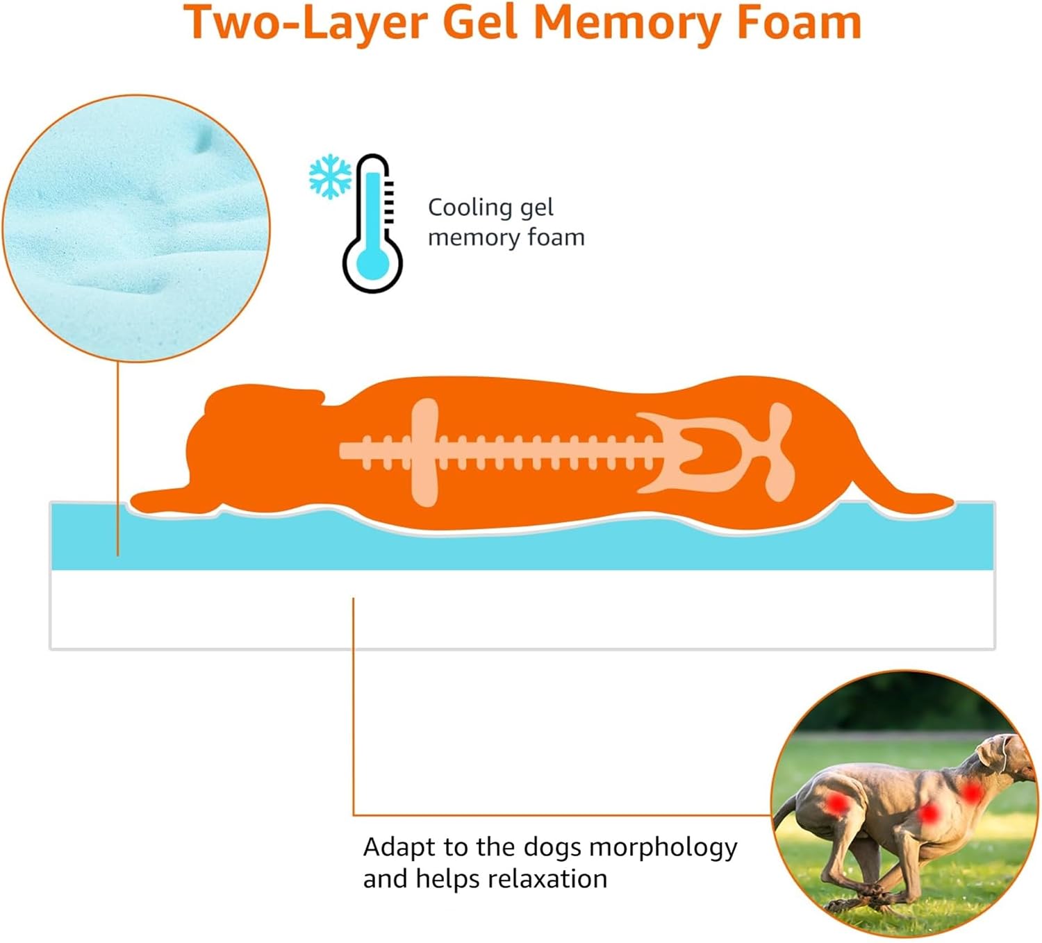 Amazon Basics Washable Dog Bed with Cooling Gel Memory Foam, Pressure-Relief Support for Dogs up to 50lbs, Non-Slip Bottom, Removable Cover, Large (35" x 22"), Grey - Happypetzone.online - Image 5