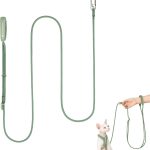 cat leash for walking