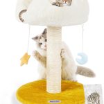 cat accessories cute