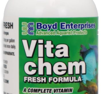 fish food for freshwater fish