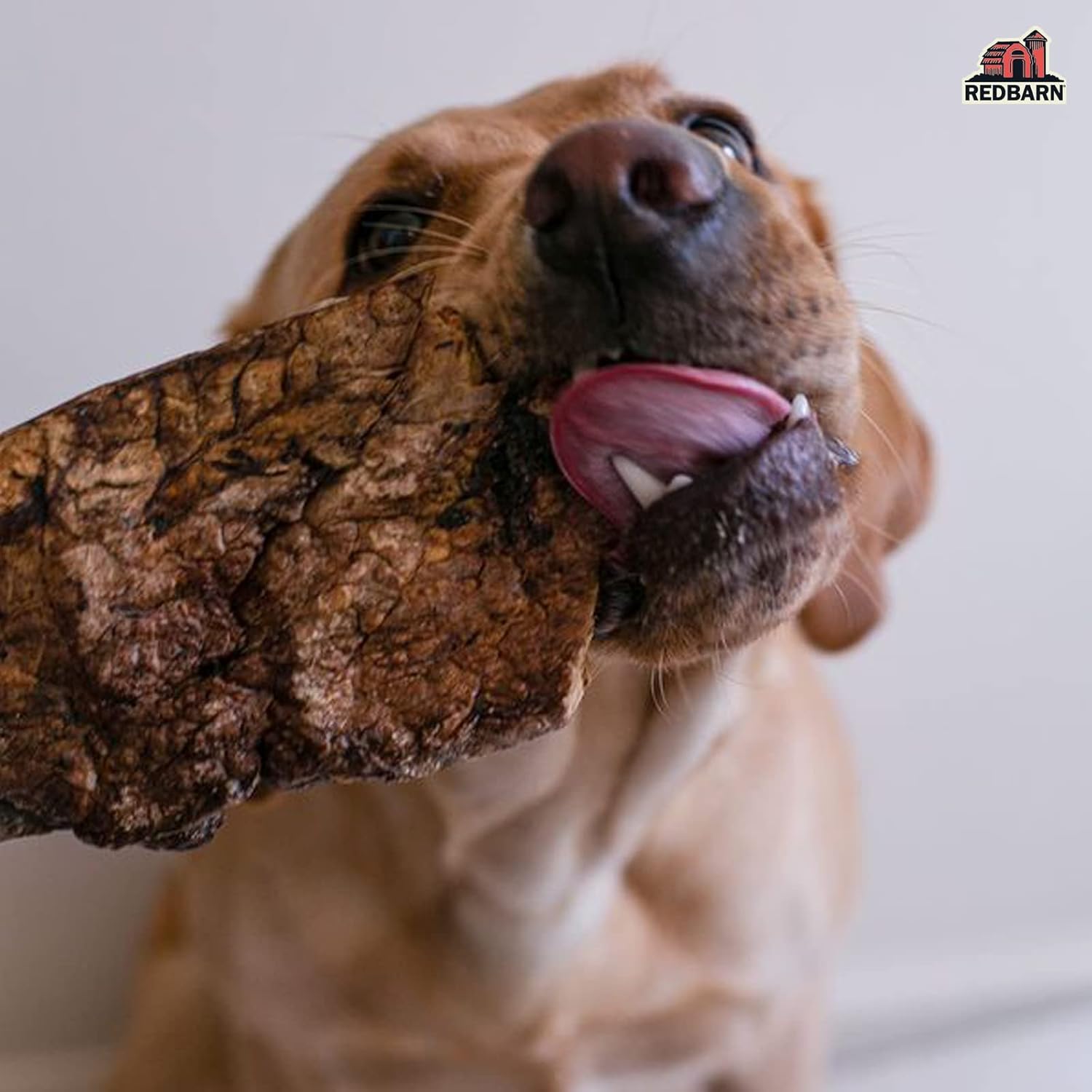 Redbarn Choppers 9oz (Case of 8 Bags) - Happypetzone.online - Image 3