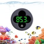 aquarium tank large