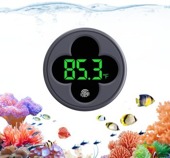 aquarium tank large