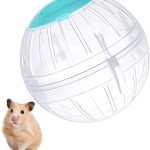 hamster ball exercise