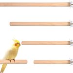 bird perch for cage