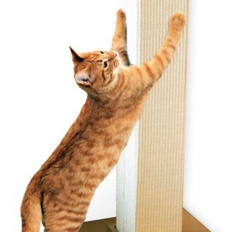 cat scratch post durable