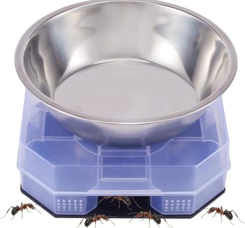 cat food for outdoor cats