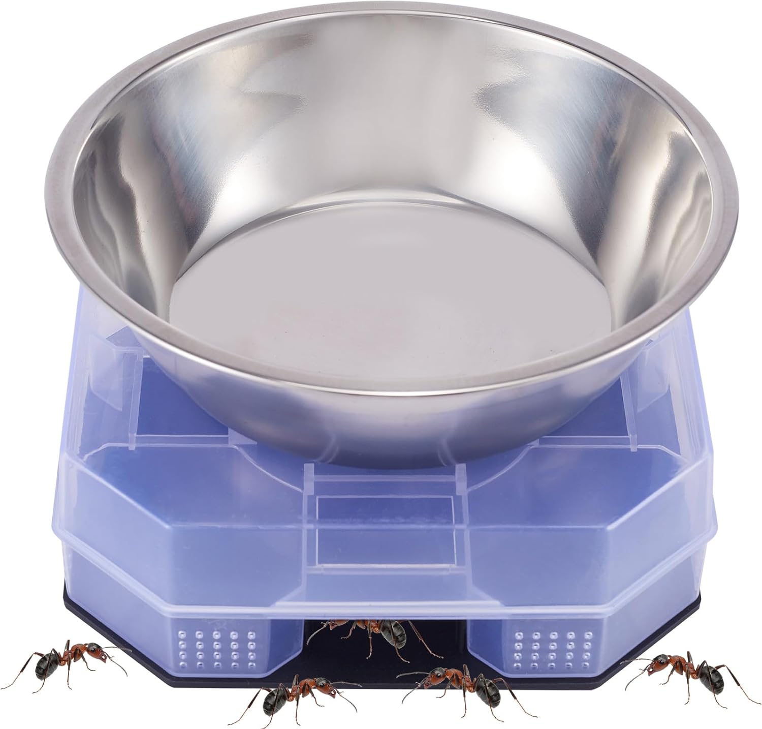 cat food for outdoor cats