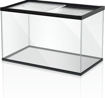 glass aquarium tank