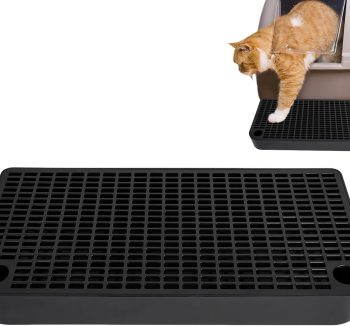 cat food for senior cats