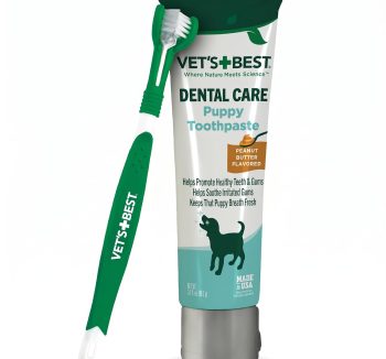 premium dog food amazon
