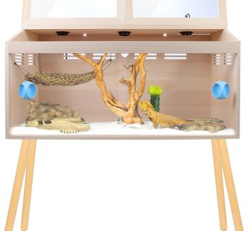 bearded dragon tank