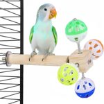 bird toys for mental stimulation