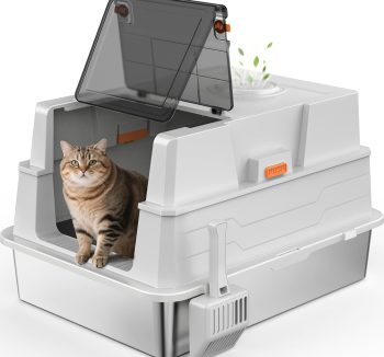 cat litter box for big cats
