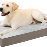 dog bed memory foam