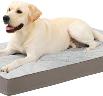 dog bed memory foam