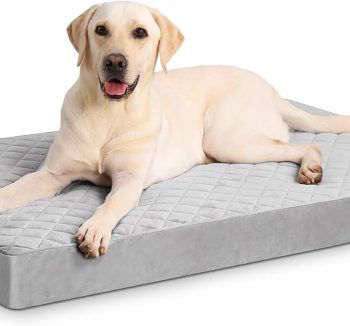 dog bed non slip