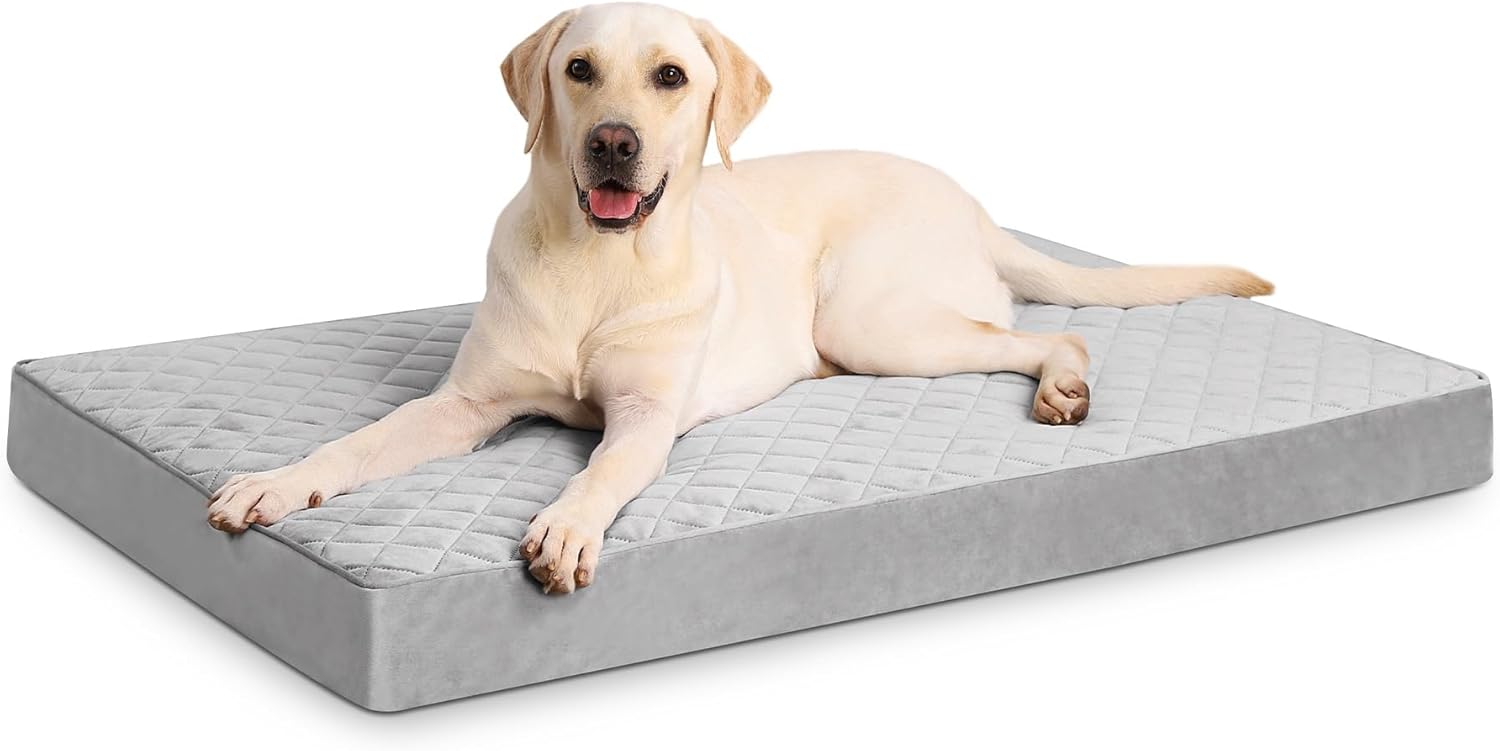 dog bed non slip