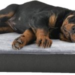 premium dog beds amazon
