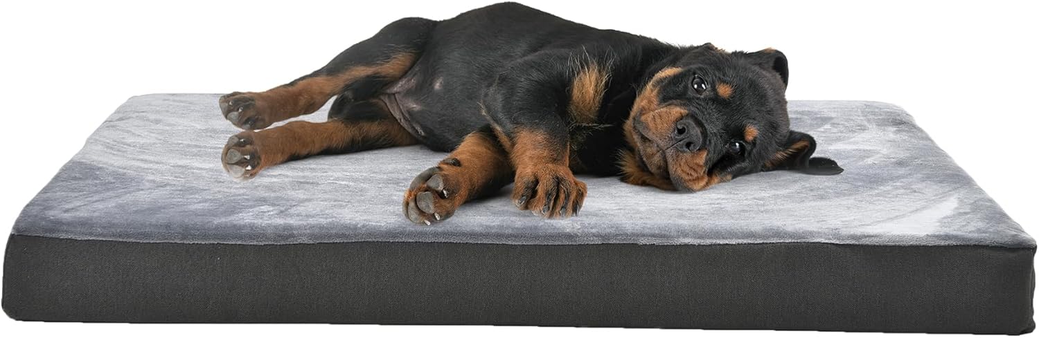 premium dog beds amazon