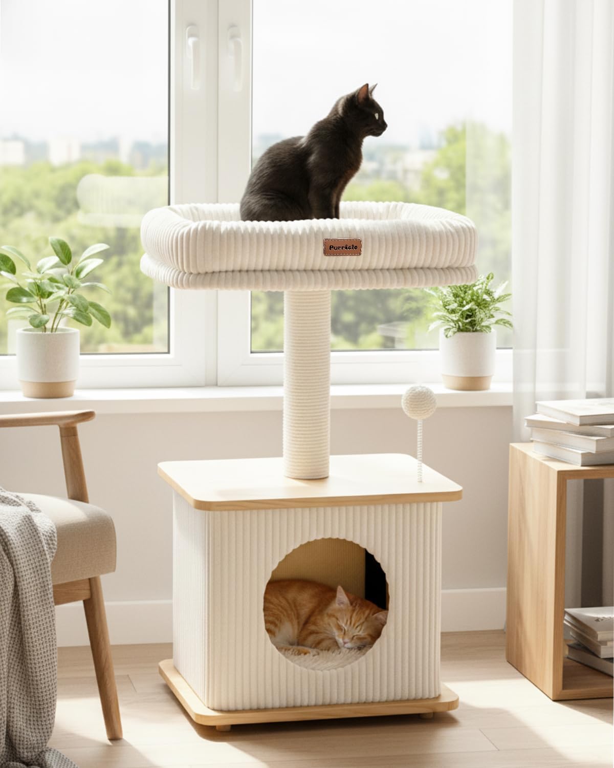 cat furniture modern