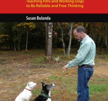 dog obedience training kit