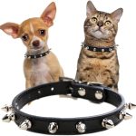 cat collar leather