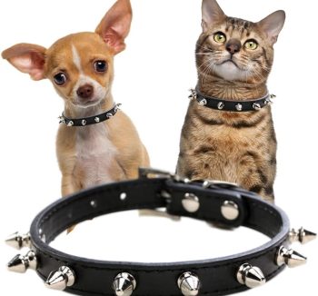 cat collar leather