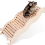 hamster ladder toy