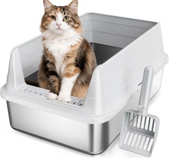 cat litter box anti smell