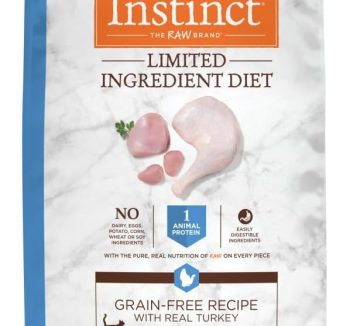 grain free cat food