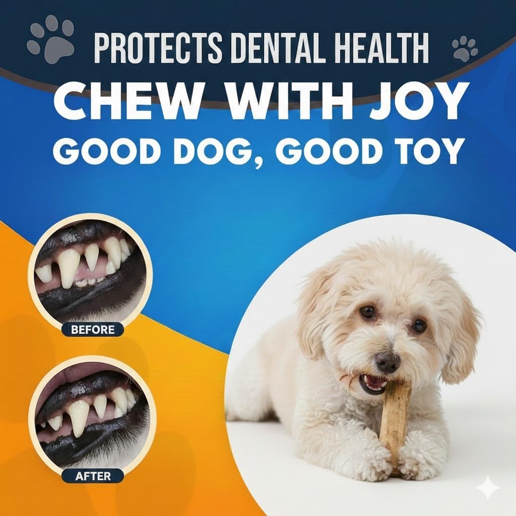 Coffee Wood Dog Chew Stick Toy for Dog, Made from Real Coffee Wood, Sticks for Pets, Safe Dental Cleaning Chews, Pets Health, Teeth Cleaning and Relieve Stress (Small) - Happypetzone.online - Image 3